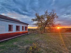 a building with a tree and the sunset in the background at Casa la Poveda in Villa del Prado