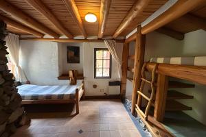 a bedroom with two bunk beds and a ladder at Los Retoños in El Bolsón