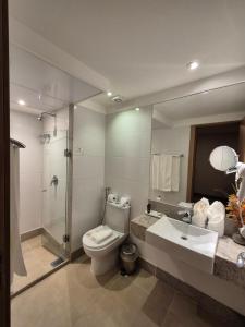 ドミンゴス・マルチンスにあるApart Vista Azul - Conforto com a vista para a mata de pinheirosのトイレ、洗面台、シャワー付きのバスルーム