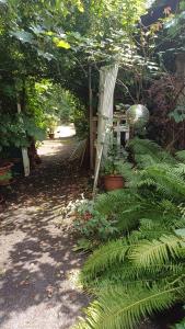 Vườn quanh campo verde