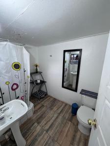 a bathroom with a toilet and a sink and a mirror at Nativo Atacama in San Pedro de Atacama