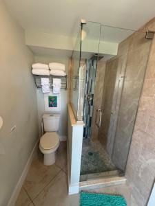 a bathroom with a shower and a toilet at Cozy Beach Rental 1B/1B in St Pete Beach +21 photos