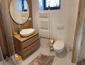 une salle de bain avec un lavabo, des toilettes et un miroir dans l'établissement Panorama Lake Residence, à Horní Soběšovice