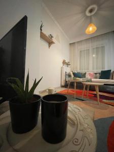 sala de estar con TV y maceta en Anastasia's House, en Florina