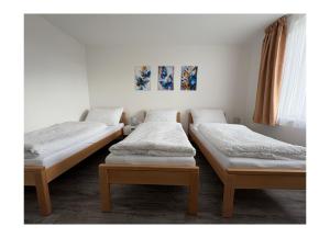 Postel nebo postele na pokoji v ubytování Ubytování V Panské zahradě