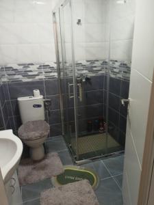 Un baño con ducha, inodoro y lavabo. en studio apartman elegant marinkovic, en Vrnjci 15 fotos más