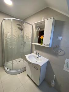 a bathroom with a shower and a sink and a shower at Casa Baraceanu Bran in Bran +53 photos