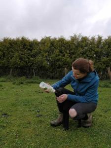 Hosté ubytování Hof-Ruesch-FeWo-Diekskamp