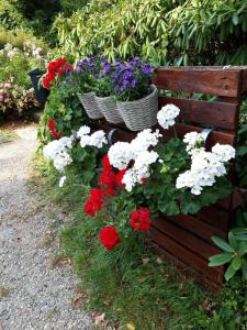 Zahrada ubytování Hof-Ruesch-FeWo-Diekskamp