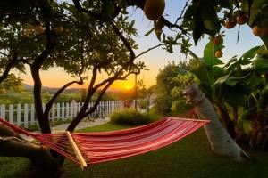 Eine Hängematte in einem Baum vor dem Hintergrund des Sonnenuntergangs in der Unterkunft Hotel Altea Paradise 1917 - Adults Only in Altea