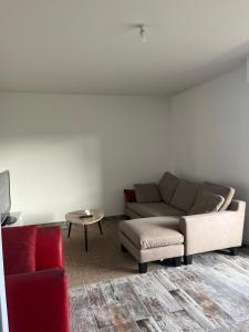 Χώρος καθιστικού στο LOGEMENT ENTIEREMENT MEUBLE à VALLEIRY prêt de Genève