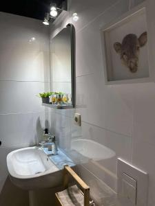 une salle de bain avec un lavabo et un miroir dans l'établissement La Chamallow Vachement Douillet, à Dinant 12 autres photos