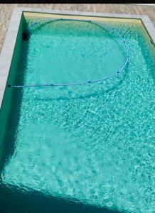 einem Pool mit einem Schlauch im Wasser in der Unterkunft Hibiscus Haven in Roseau