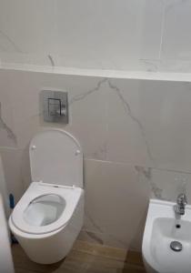 ein Badezimmer mit Toilette und Waschbecken in der Unterkunft Hibiscus Haven in Roseau