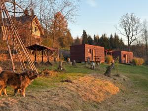 a dog standing in a field next to a house at Fox House Tisá / Rájec in Tisá