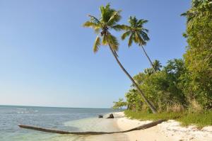 uma rede numa praia com duas palmeiras em Casa Isla Azul, 4BR-3Ba-2Kit Wi-Fi, AC, Pool, Solar Power Boqueron Puerto Rico Walk to El Poblado Cabo Rojo em Cabo Rojo