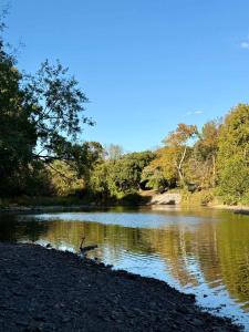 Loodusmaastik palkmajakese lähedal