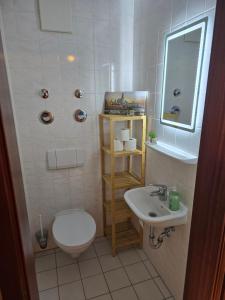 ein kleines Badezimmer mit Toilette und Waschbecken in der Unterkunft WohnTraum Im Grünen in Dresden + 6 Fotos