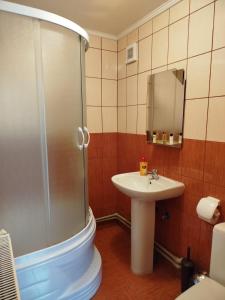 a bathroom with a shower and a sink at Золотий Ключик in Vyshka