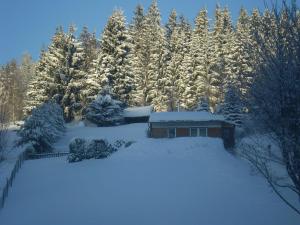 Το Heatable Pool Retreat τον χειμώνα