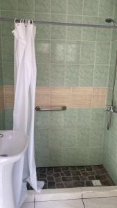 a bathroom with a shower with a toilet and a sink at Surí refugios Villa O'Higgins, Fin de la Carretera Austral in Villa O'Higgins