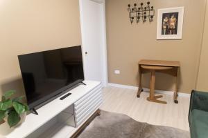 TV a/nebo společenská místnost v ubytování Apto Pet Friendly com Garagem no Centro + 19 fotografií