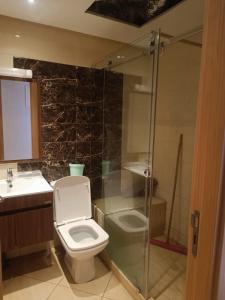un bagno con wc e doccia in vetro di Résidence Ebla a Minaret de Mansuria