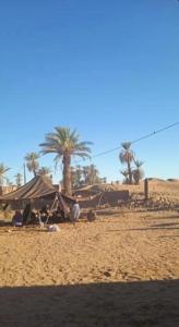Eine Wüste mit einem Zelt und Palmen im Hintergrund in der Unterkunft Camp azawan hananich 
