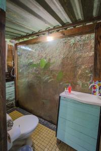 Ένα μπάνιο στο Quinta do Vale - Kombi Home: Lago, escorrega, cascata, piscina, fogo de chão