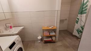 une petite salle de bain avec un lavabo et une douche dans l'établissement Ferienwohnung im Grünen, à Willebadessen