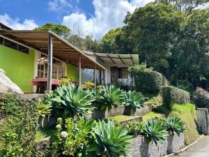 Κήπος έξω από το Padua Finca Hotel