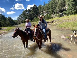 Φωτογραφία από το άλμπουμ του El Aventurero Renacer σε Cedro +3 φωτογραφίες