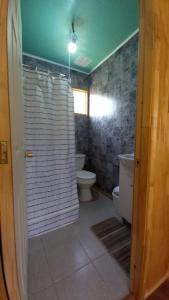 bagno con tenda per la doccia e servizi igienici di Entre Villa y Loncoche a Ancagual