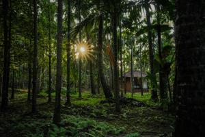 Příroda nedaleko farmy + 10 fotografií