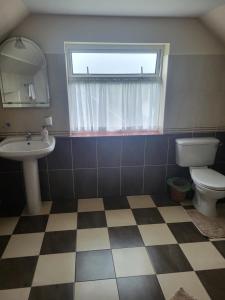 a bathroom with a sink and a toilet and a window at Ard A Mhaoire in Glendorragha +26 photos