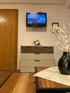 TV a/nebo společenská místnost v ubytování Apart Marita