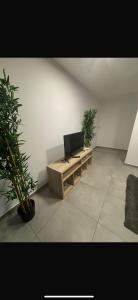 TV/trung tâm giải trí tại Luxury 3-Bedroom Residence with Beautiful Garden Space