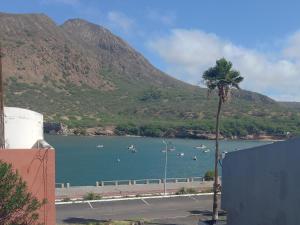 una palmera frente a un cuerpo de agua con barcos en Casa Herminia, en Tarrafal