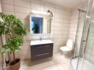 a bathroom with a sink and a toilet and a mirror at Casa Troll in Tromsø +62 photos