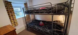 una litera en una habitación con ventana en Bwthyn Gweilch, en Machynlleth