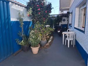 - un balcon avec des plantes en pot sur le côté d'un bâtiment dans l'établissement Hostel mi casa su casa, à Poços de Caldas