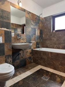ein Badezimmer mit Waschbecken, Toilette und Badewanne in der Unterkunft Vâlceaua Zânelor in Stațiunea Climaterică Sâmbăta
