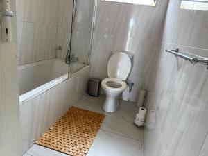 Un pequeño baño con inodoro y ducha. en Hippoville, en Mbabane