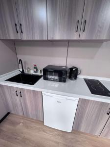 Η κουζίνα ή μικρή κουζίνα στο Glamping Pod with a Hot Tub in Orchard