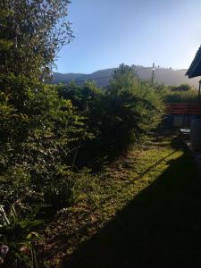 ein Garten mit Büschen und einer Bank im Schatten in der Unterkunft Los Peñi in Cortaderas