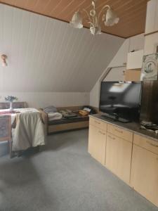 a bedroom with a bed and a television in a room at Gästehaus in ruhiger Lage zum Entspannnen in Sankt Kathrein am Offenegg