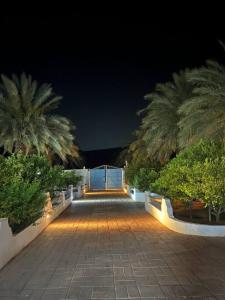 un chemin avec des palmiers et des lumières la nuit dans l'établissement Maison authentique au cœur des oasis, à Ghardaïa