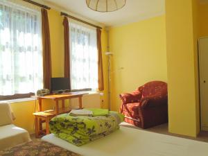 Wellness Penzion Lázně Jablonec في يابلونيتس ناد نيسو: غرفة معيشة مع أريكة وكرسي