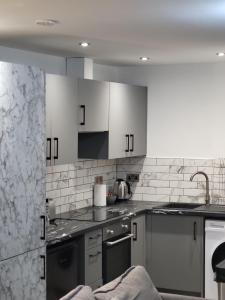 Kuchyň nebo kuchyňský kout v ubytování Modern Serviced Studio - Affordable Luxury with Free Parking