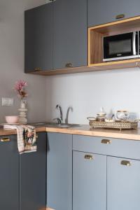 une cuisine avec un évier et un micro-ondes dans l'établissement Pokoje gościnne Zuzanna Krupa, à Kluszkowce